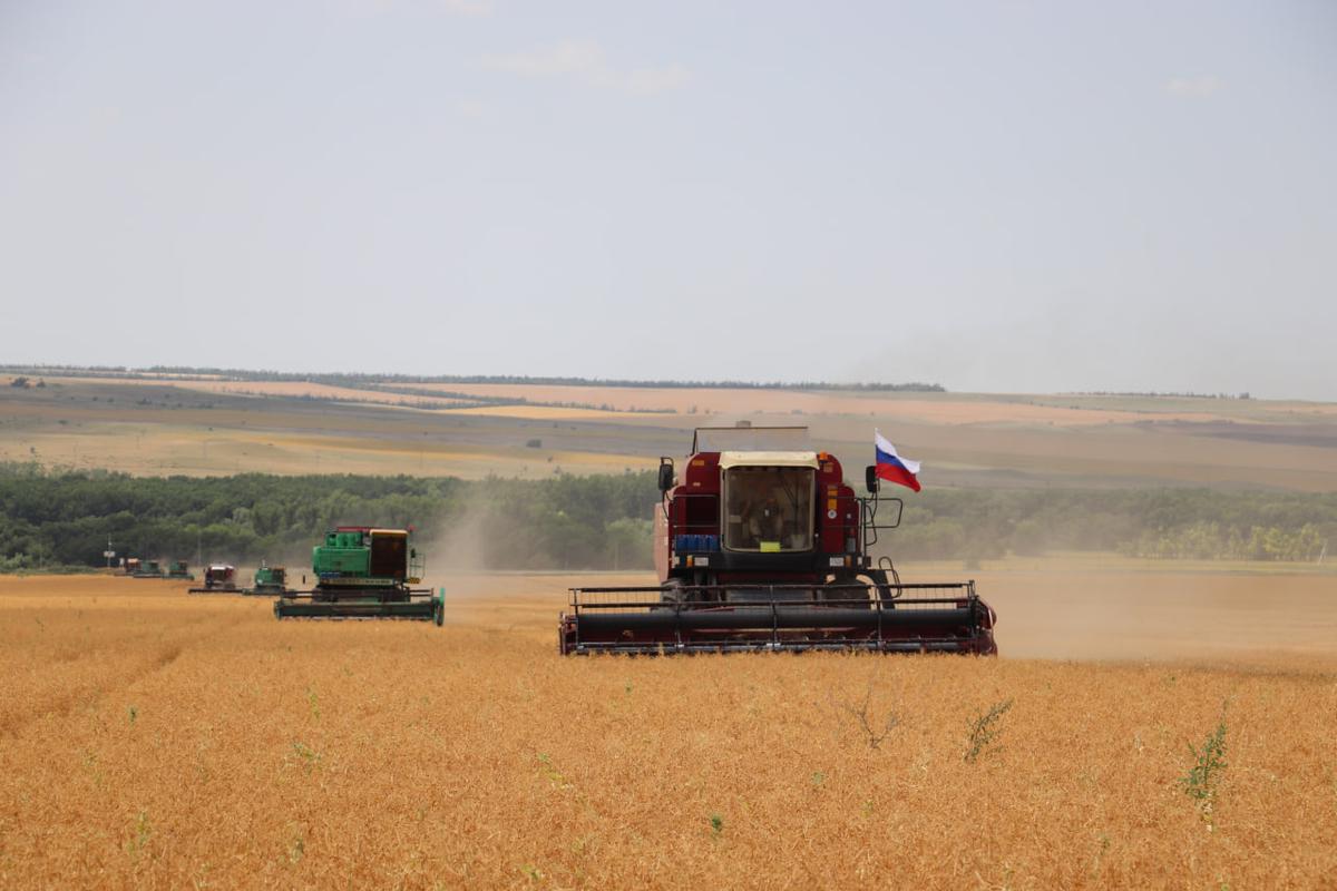 Аграрии Ставрополья на начало июля собрали 3,3 млн тонн пшеницы