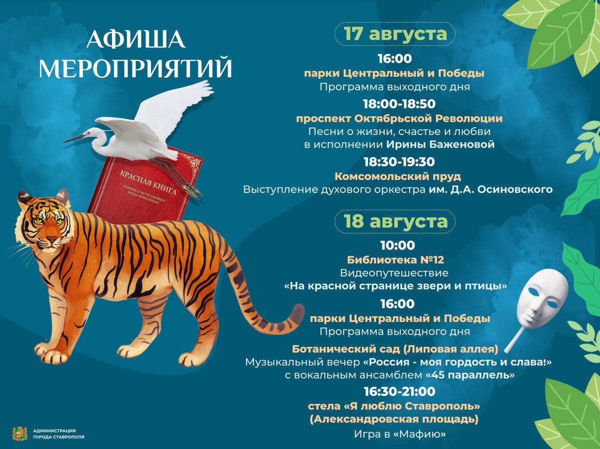 Ставропольчане могут поиграть в мафию и отправиться в зоопутешествие