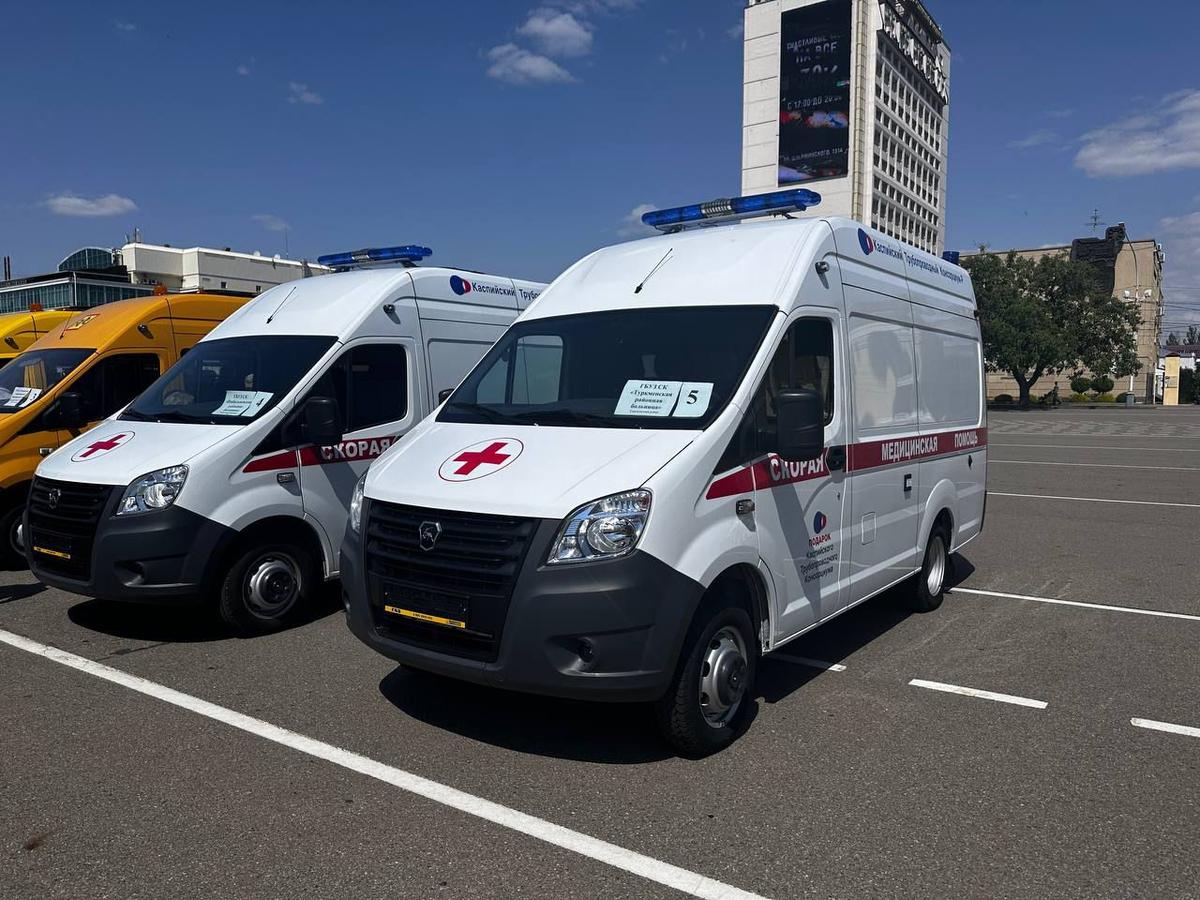 Ставропольские врачи помогли женщине, заблудившейся в Таманском лесу