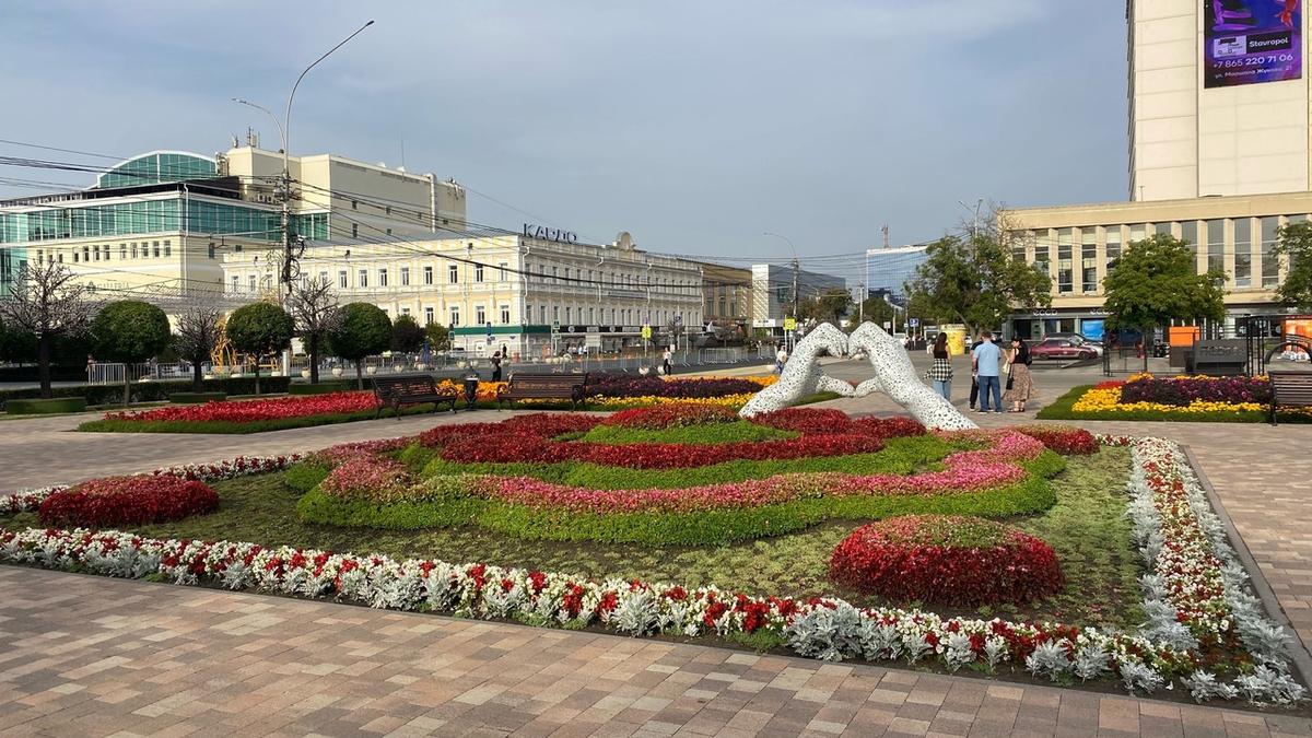 Ко Дню города клумбы Ставрополя запестрят 10 тысячами осенних растений