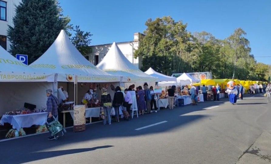 В Ставрополе проходит ярмарка в честь Дня города