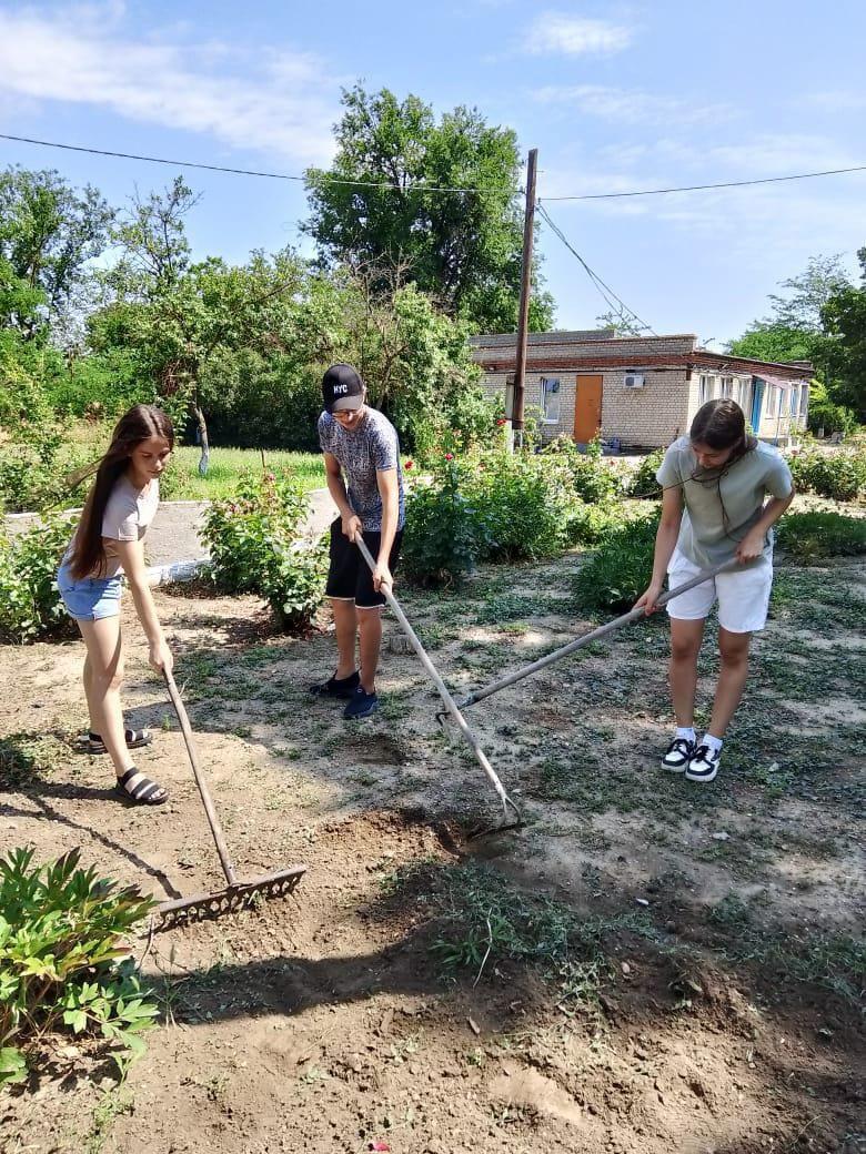 За летнюю кампанию сто школьников Степновского округа заработали первые деньги