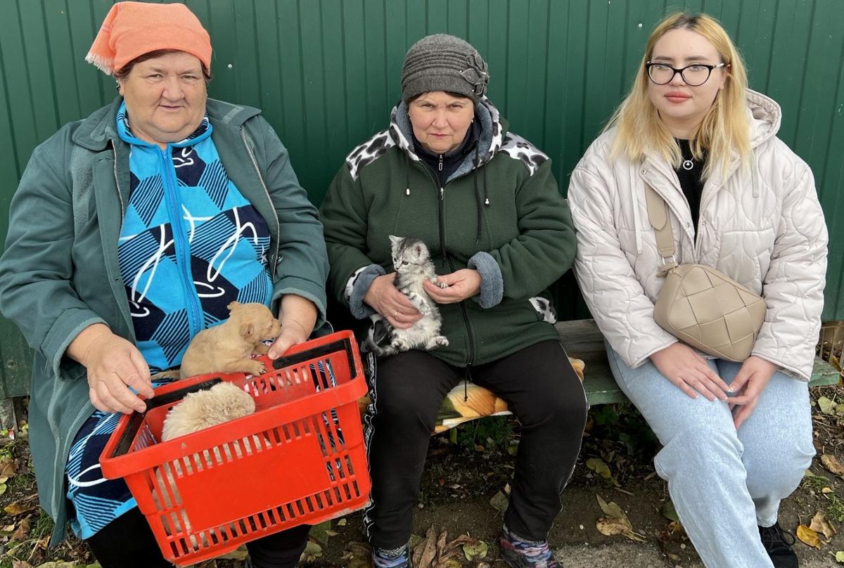 В подарок от соцзащиты одинокие селяне на Ставрополье получили пушистиков