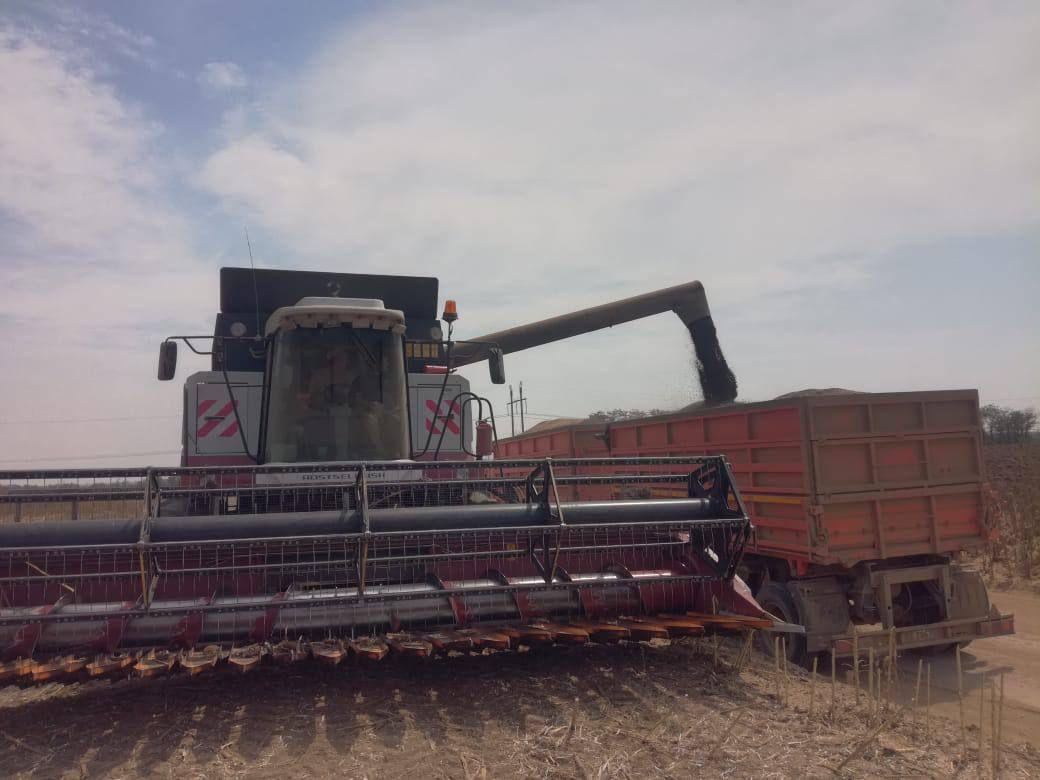 Аграриям Ставрополья в уходящем году выплатили 6,7 млрд рублей господдержки