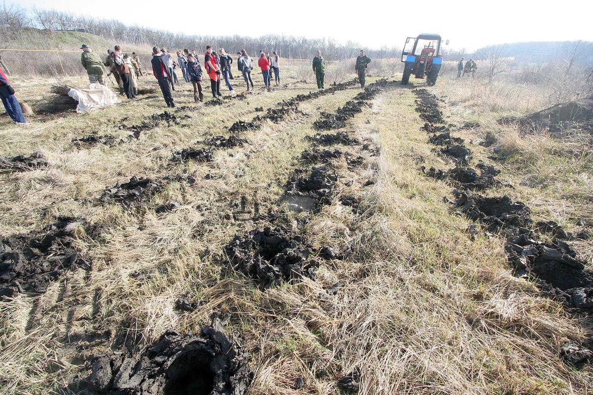 В Дубовой роще Ставрополя высадят около 250 деревьев