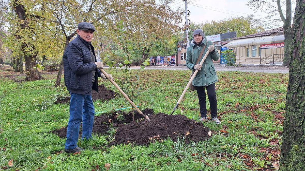 В разных районах Ставрополя высадили деревья