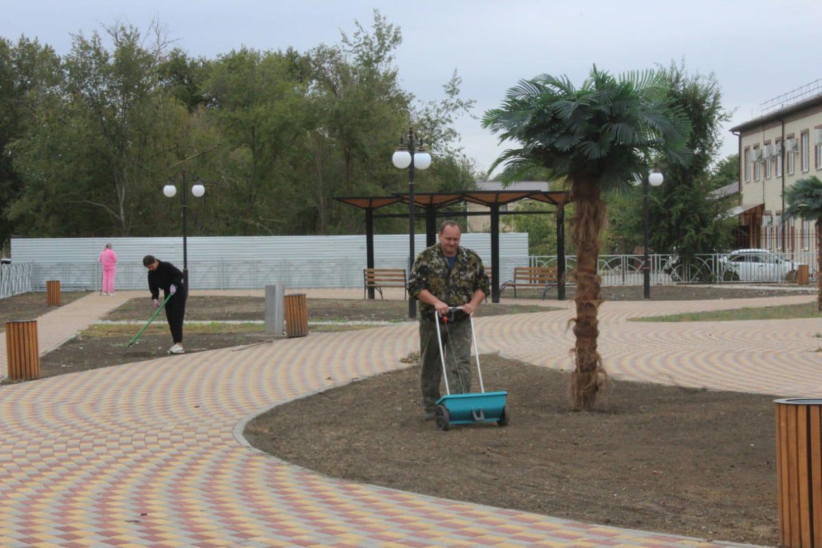 В Туркменском округе озеленили парк