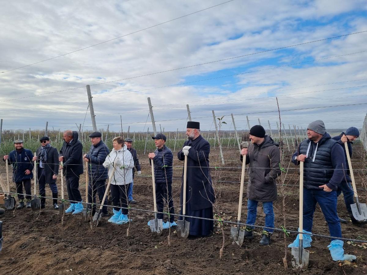 На Ставрополье начали закладывать вторую очередь суперинтенсивного сада