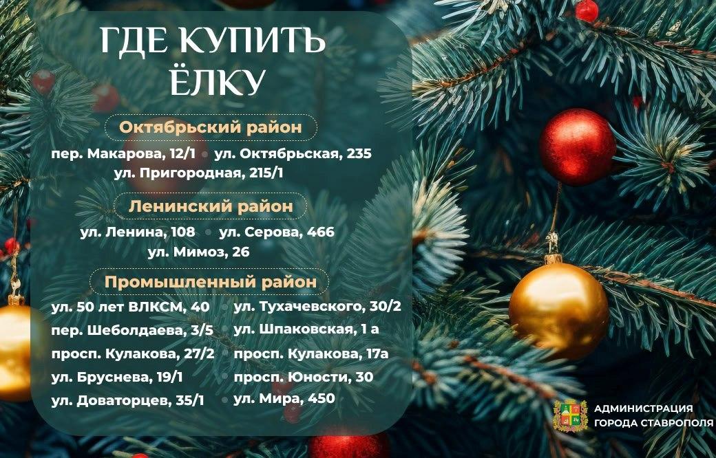 В Ставрополе 16 ёлочных базаров ждут покупателей главных зимних зелёных красавиц