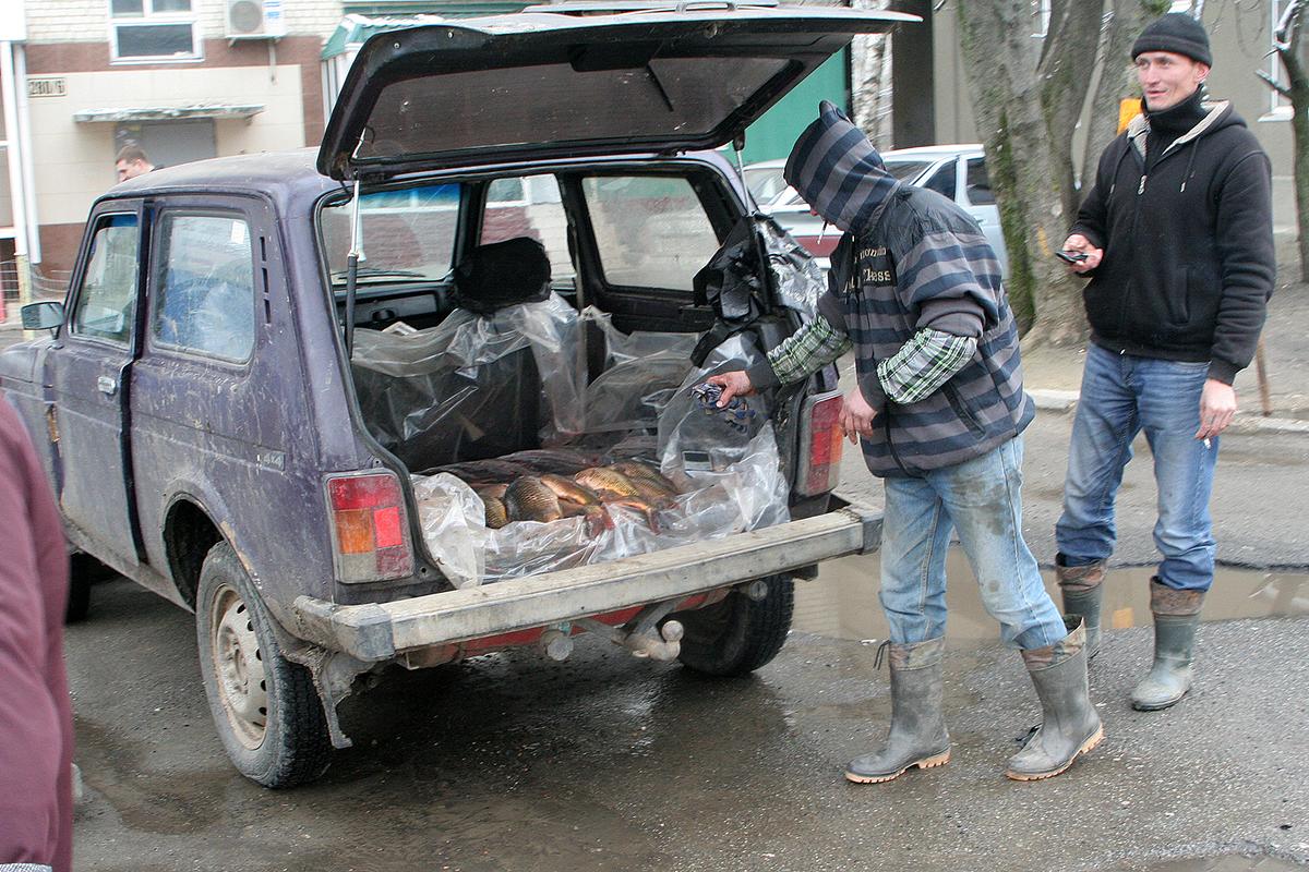 С начала года жители и гости Ставрополя на треть увеличили расходы на общепит
