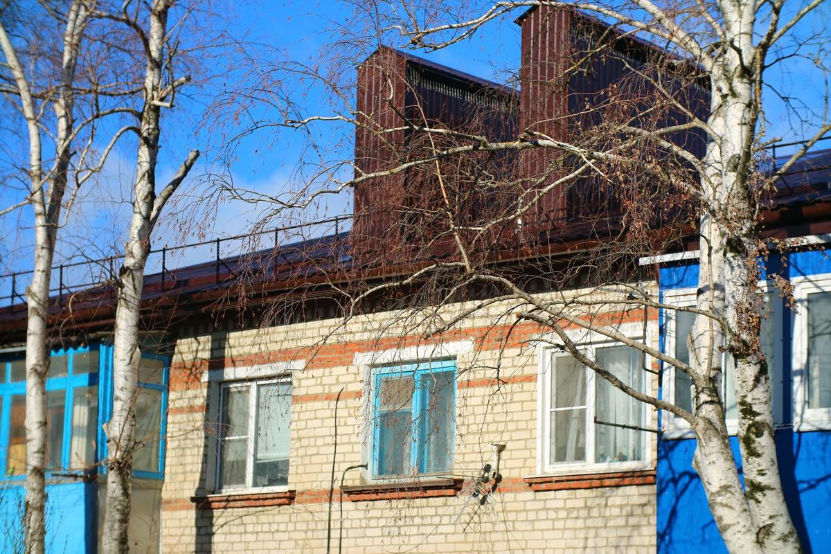 В Михайловске в доме на улице Пушкина завершают ремонт скатной крыши
