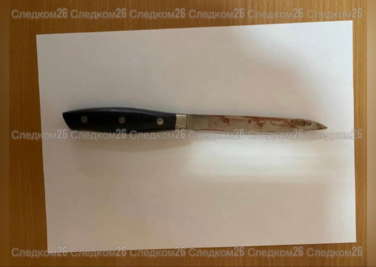 В Ставрополе осудили убийцу, который полсотни ударов ножом нанес своей жертве