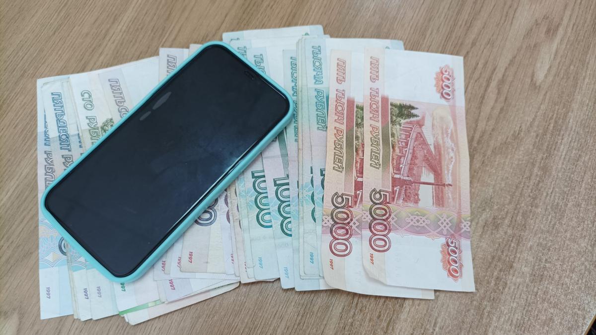 В Шпаковском округе ищут мошенника, обманувшего жителя на миллион
