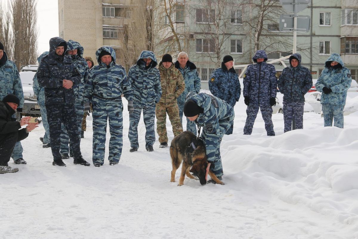 Полицейские-кинологи провели тренировку в Ставрополе