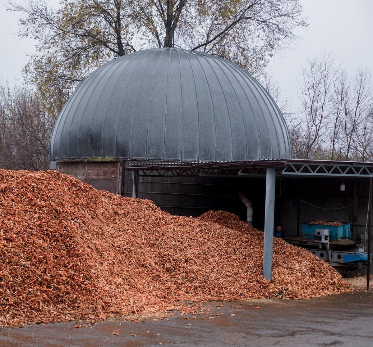 Производство топлива из кукурузной кочерыжки наладили на Ставрополье
