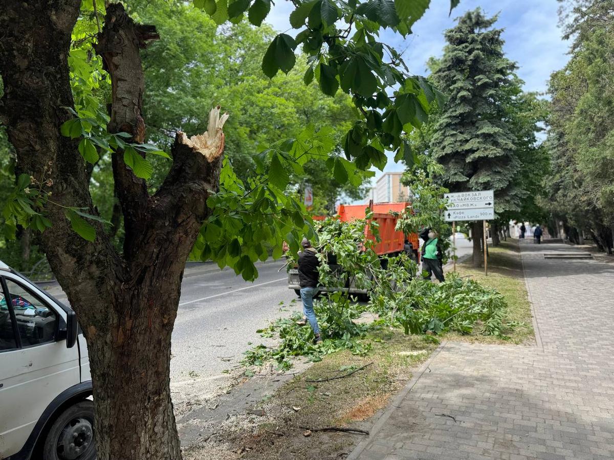 В Железноводске из-за ветра сегодня закрыли терренкуры Курортного парка