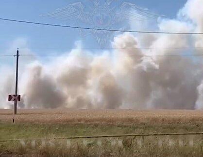 На Ставрополье рецидивист пытался поджечь два поля с пшеницей