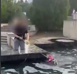 В Железноводске дама окунула свою собачку в фонтан