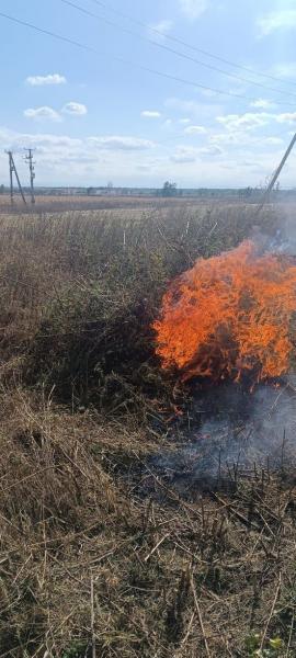 На Ставрополье полицейские уничтожили 50 очагов растущих наркотических растений