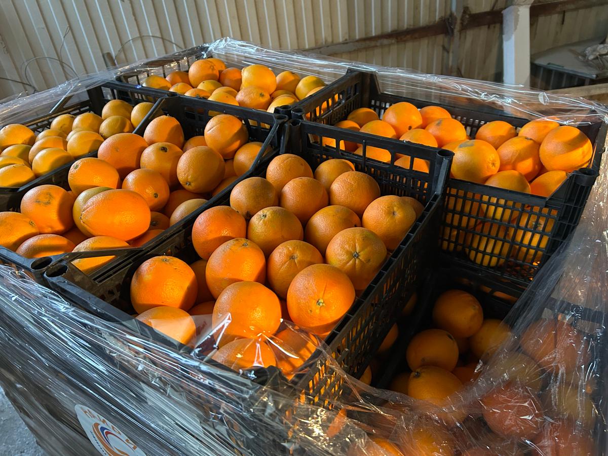 Ставрополь отправил на передовую новогодний гуманитарный груз