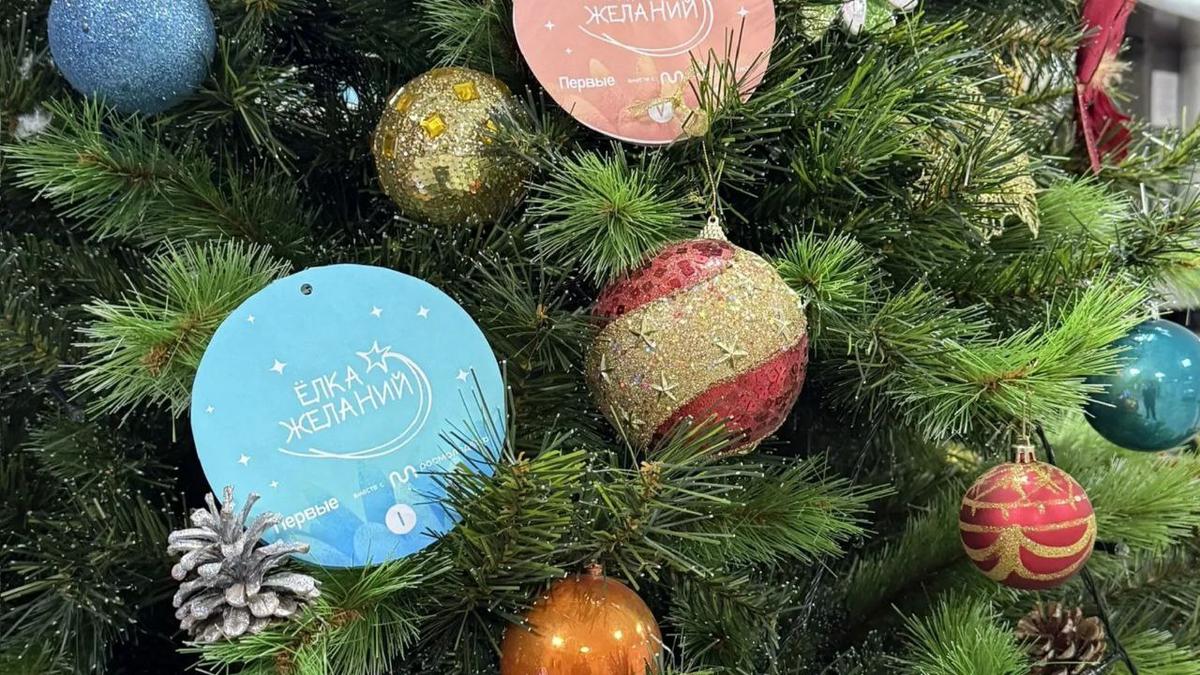 В Предгорье мечты детей исполняет Ёлка желаний