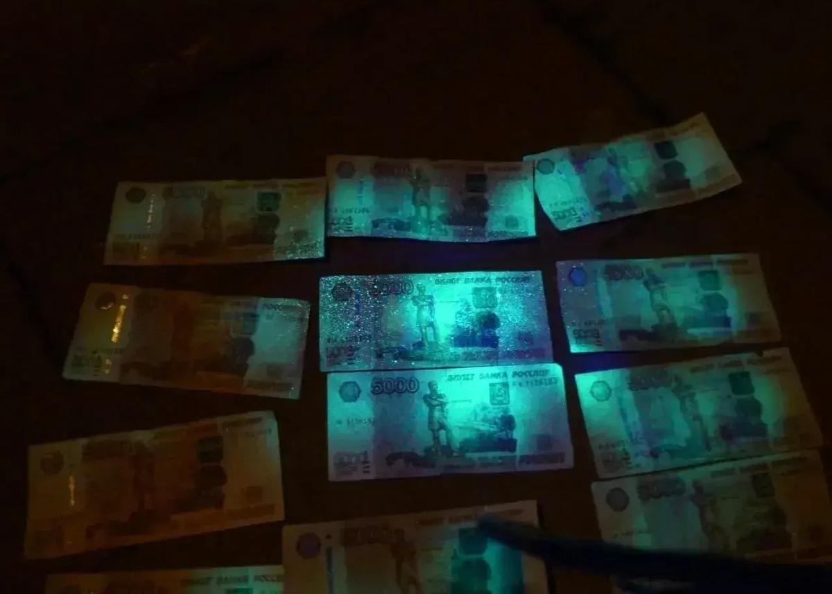 На Ставрополье будут судить экс-заместитель окружного Россельхознадзора