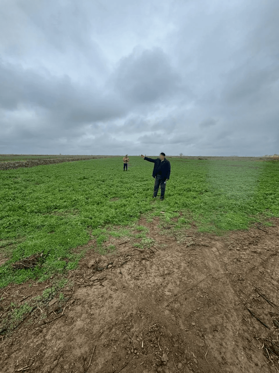 Штраф и лишение свободы назначил суд фермеру-аферисту на Ставрополье