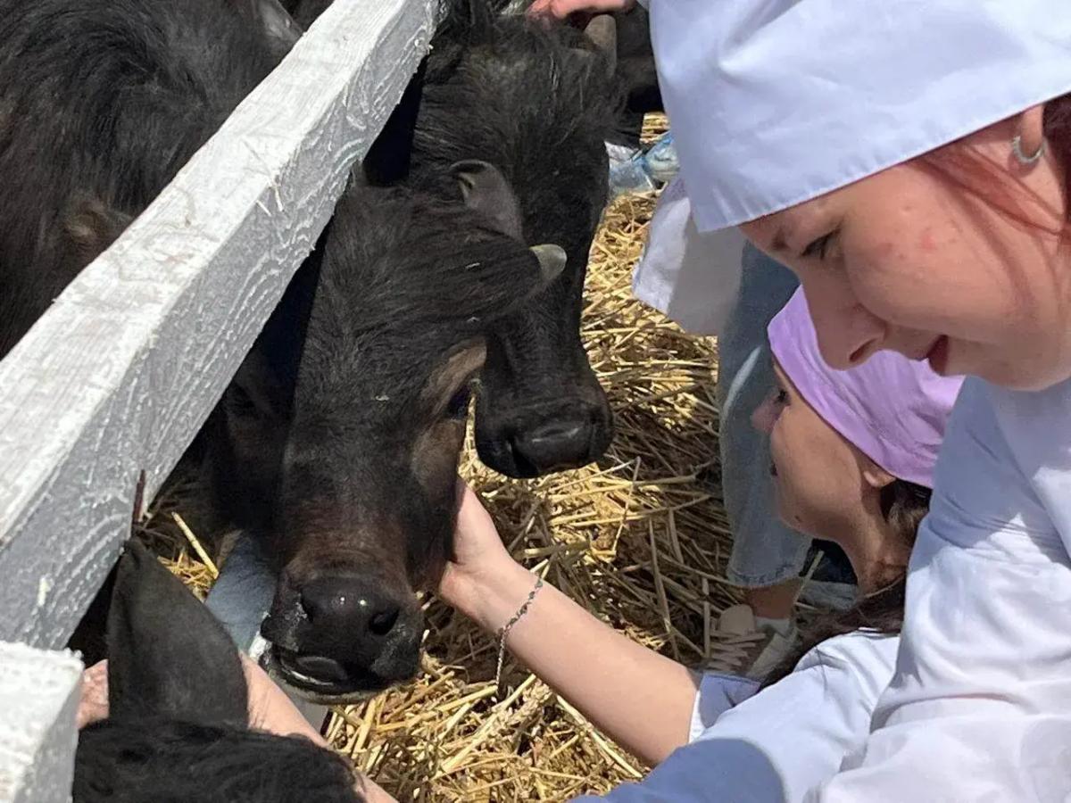 Краевой кадровый центр трудоустроил почти 1,5 тысячи молодых жителей Ставрополья