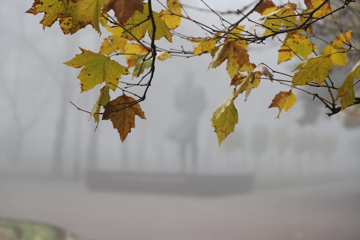 С начала года народная дружина Ставрополя помогла раскрыть 150 преступлений