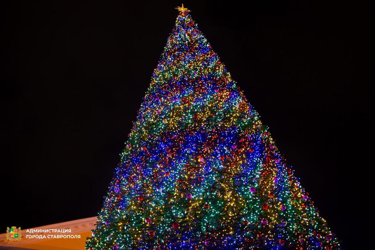Глава Ставрополя приглашает жителей на открытие главной новогодней елки города