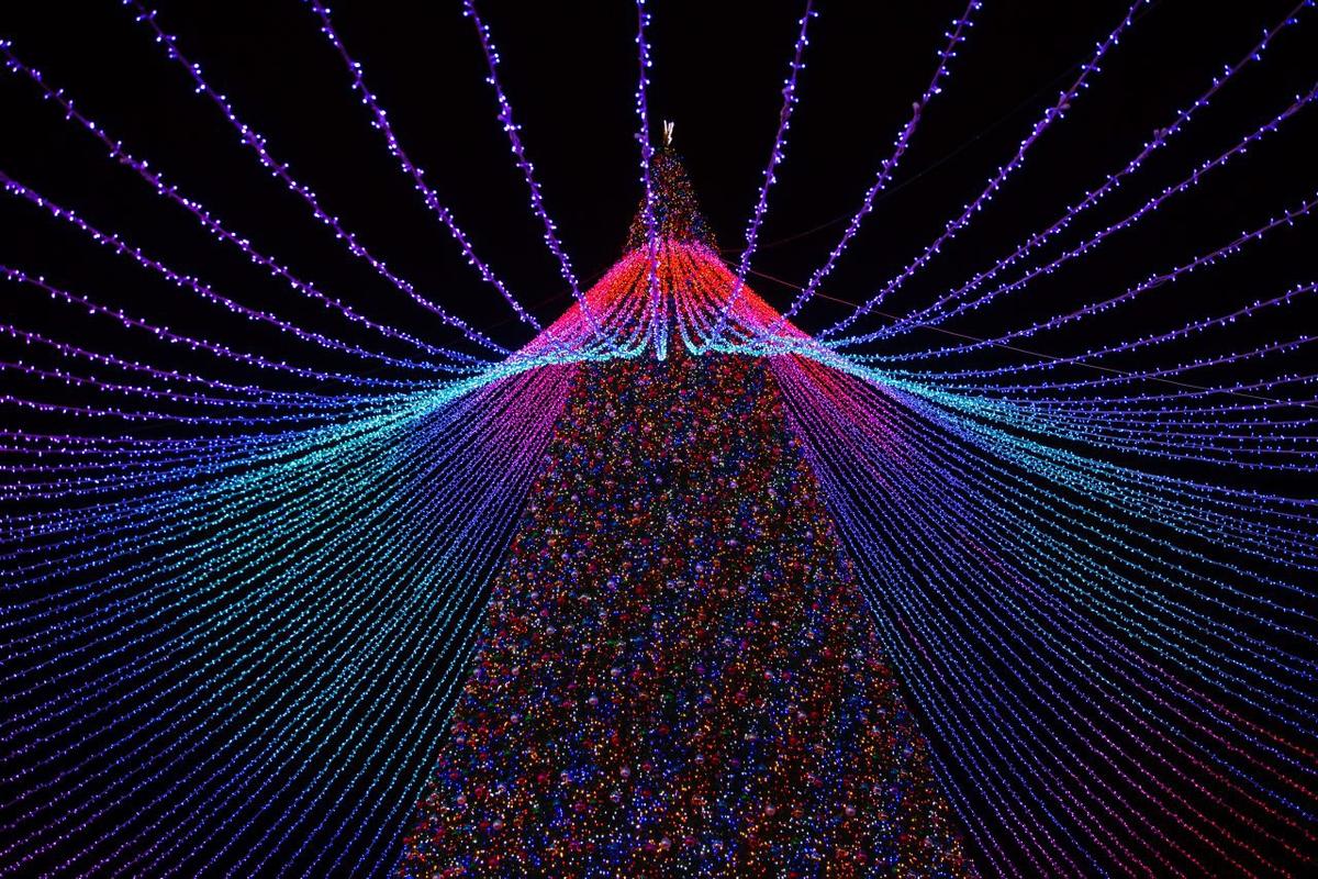 На главной елке Ставрополя зажгли новогодние огни