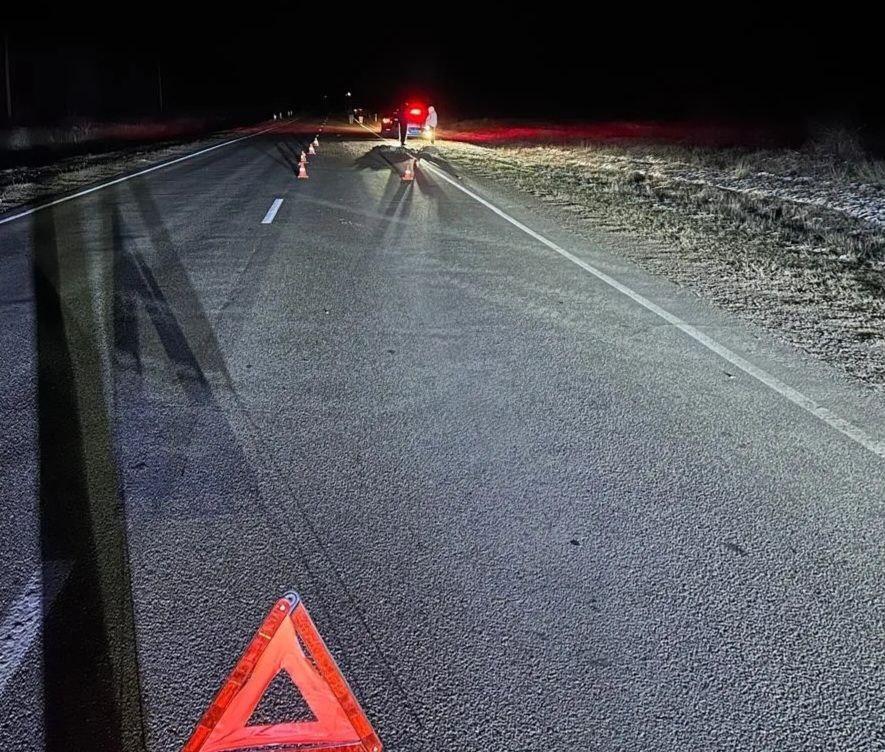 В Труновском округе ночью на трассе погиб пешеход