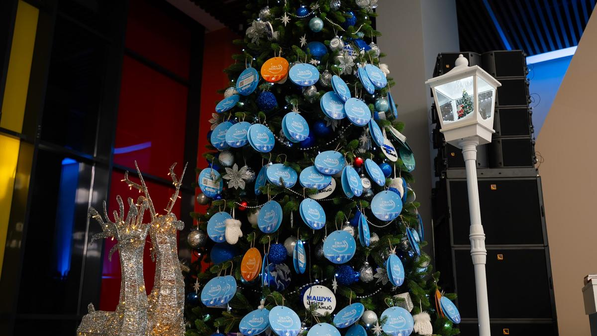 «Елка желаний» для детей участников СВО пройдет в Центре «Машук» в Пятигорске