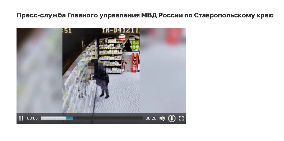 Юный житель Ставрополя из магазина в Шпаковском округе украл 26 упаковок сыра