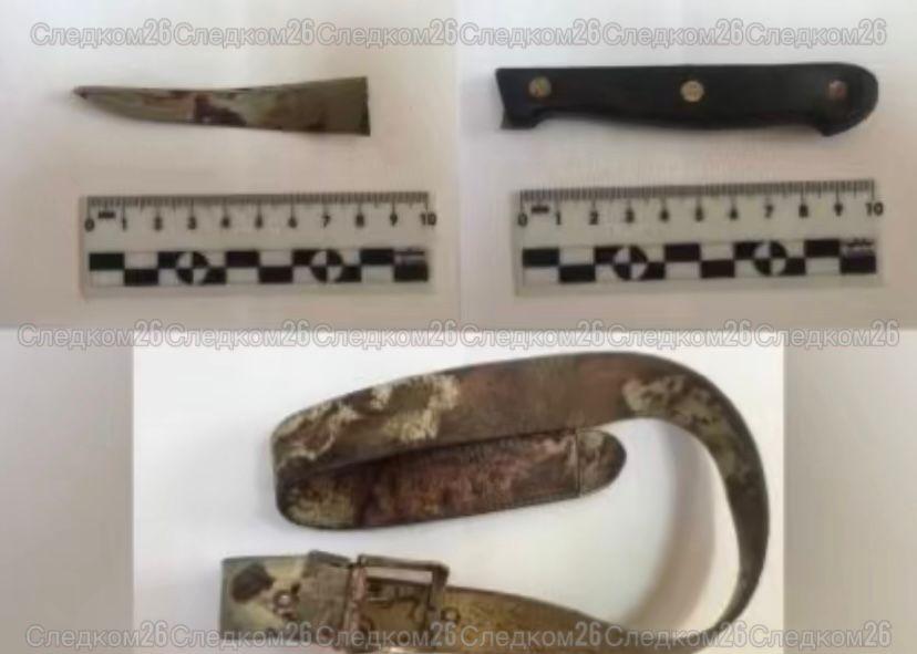 В Георгиевском округе мужчину осудили на 12 лет за покушение на убийство