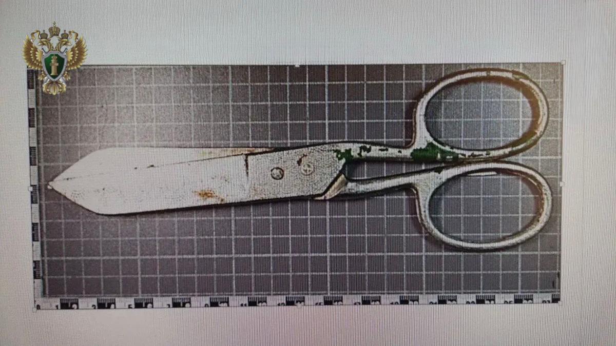 До 15 лет грозит жителю Минераловодского округа за убийство знакомого ножницами