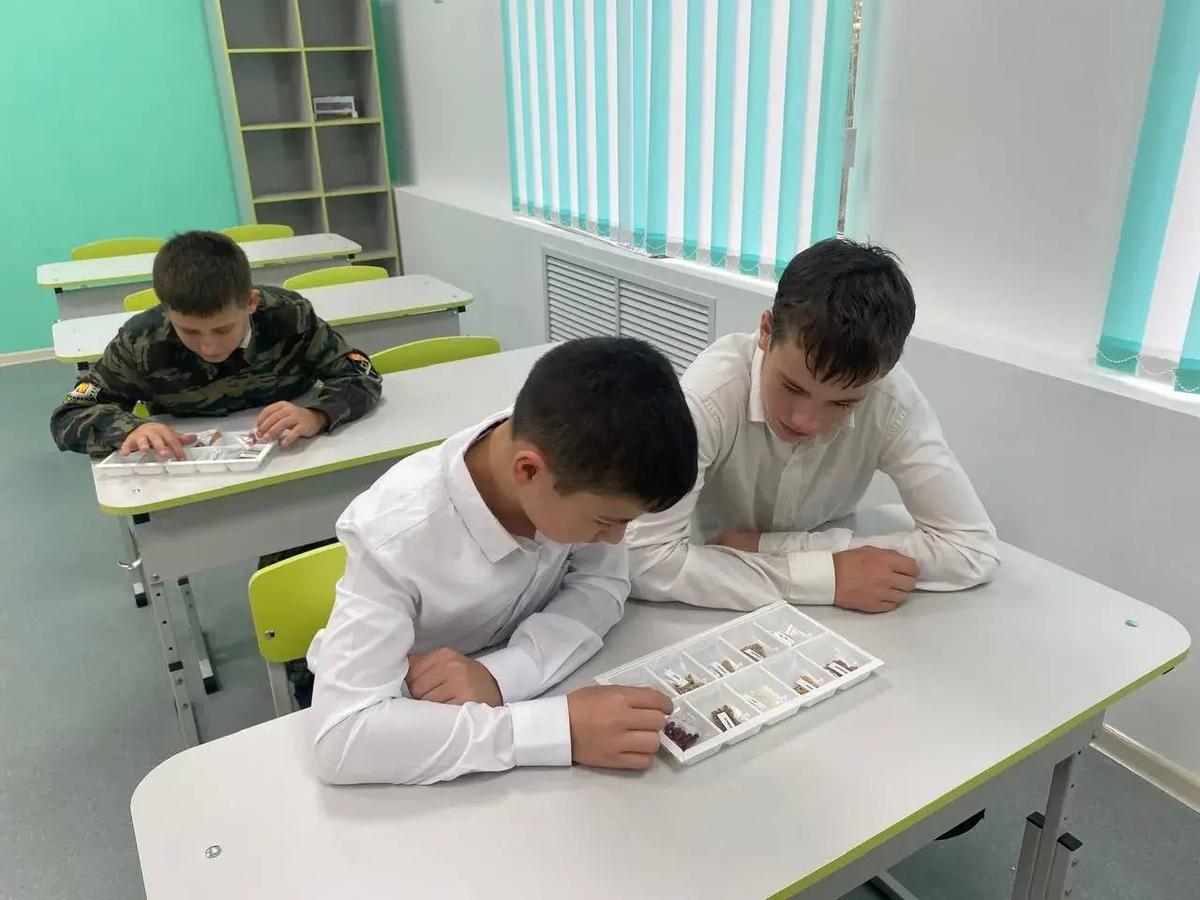 В Апанасенковском округе открыли пять агроклассов для подготовки кадров АПК