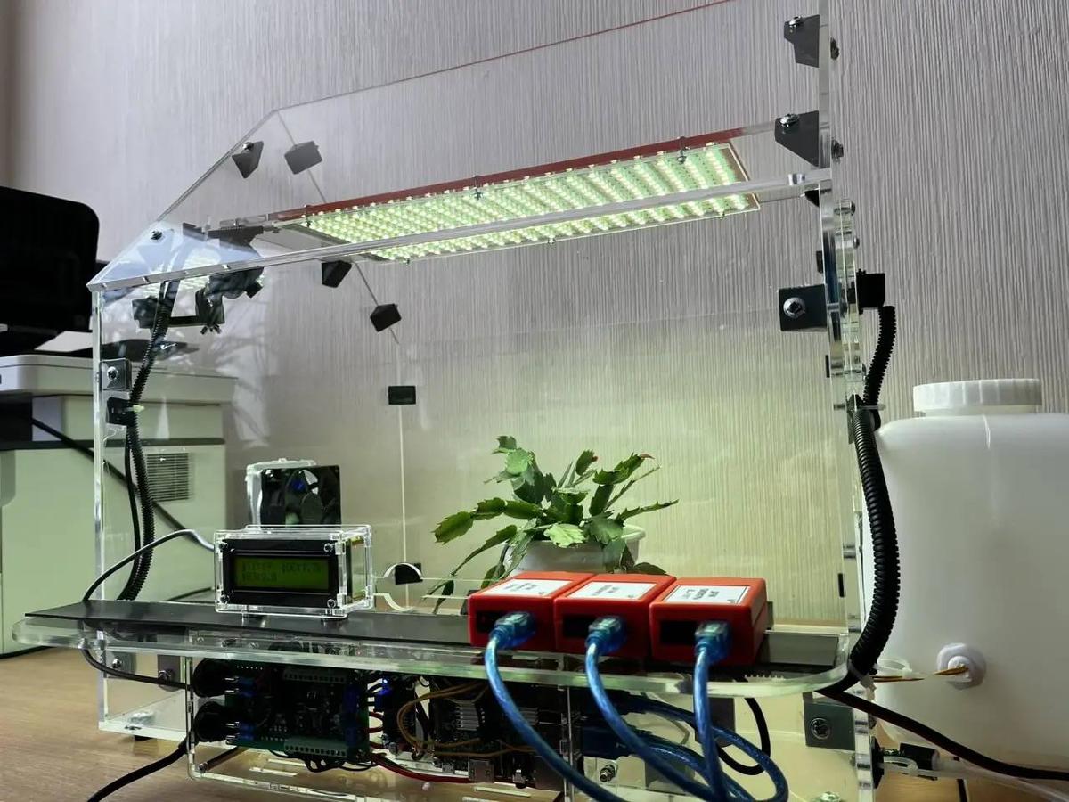 Для школы Кировского округа закупили роботехнический комплект «Умная теплица»