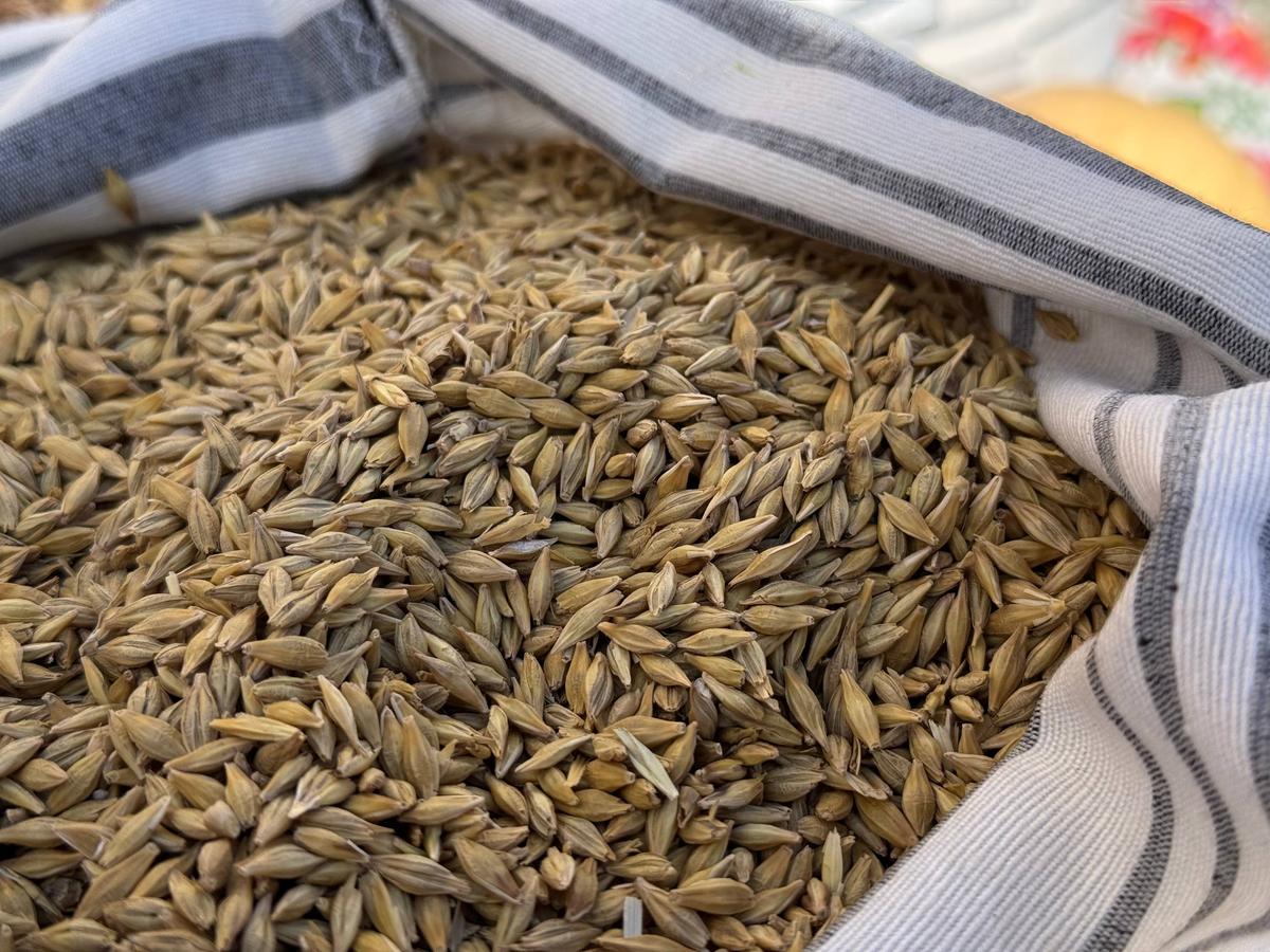 Ставрополье перевыполнило план экспорта продукции АПК по зерновым и мясо-молочке