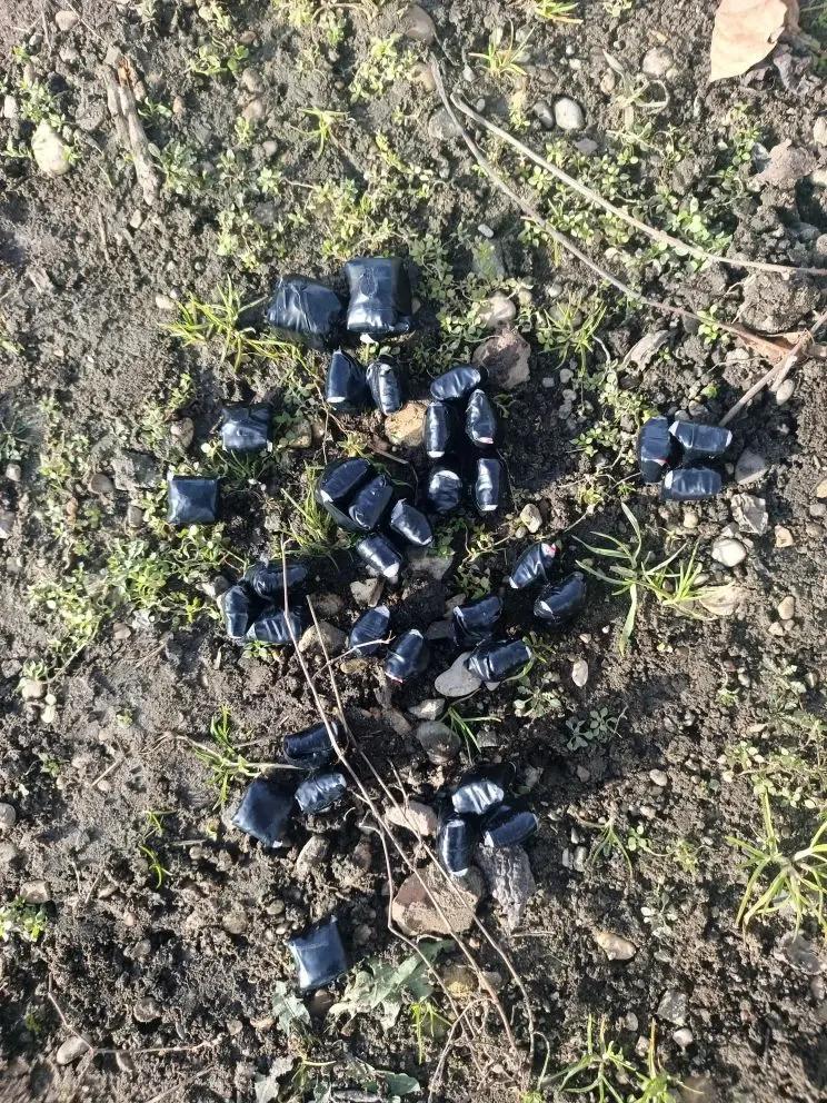 Парень из Африки пытался сбыть в Пятигорске синтетический наркотик