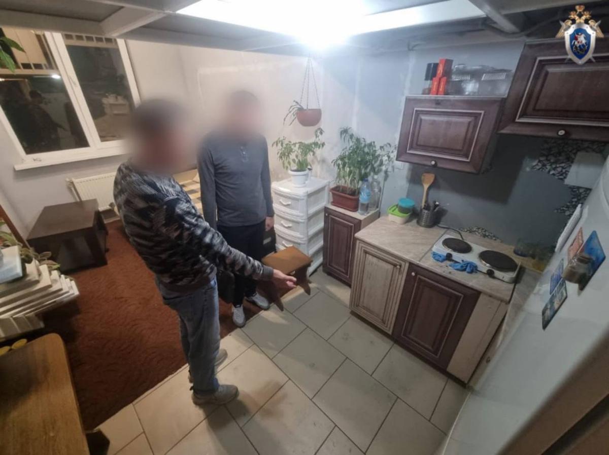 В Михайловске мужчина забил до смерти своего собутыльника из-за ссоры