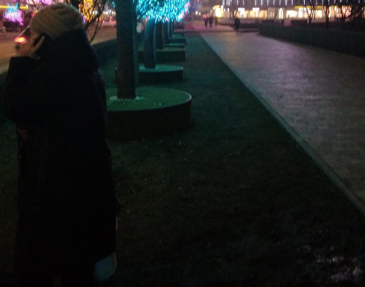 В новогодье жители Ставрополья обогатили мошенников на сумму около 25 млн рублей