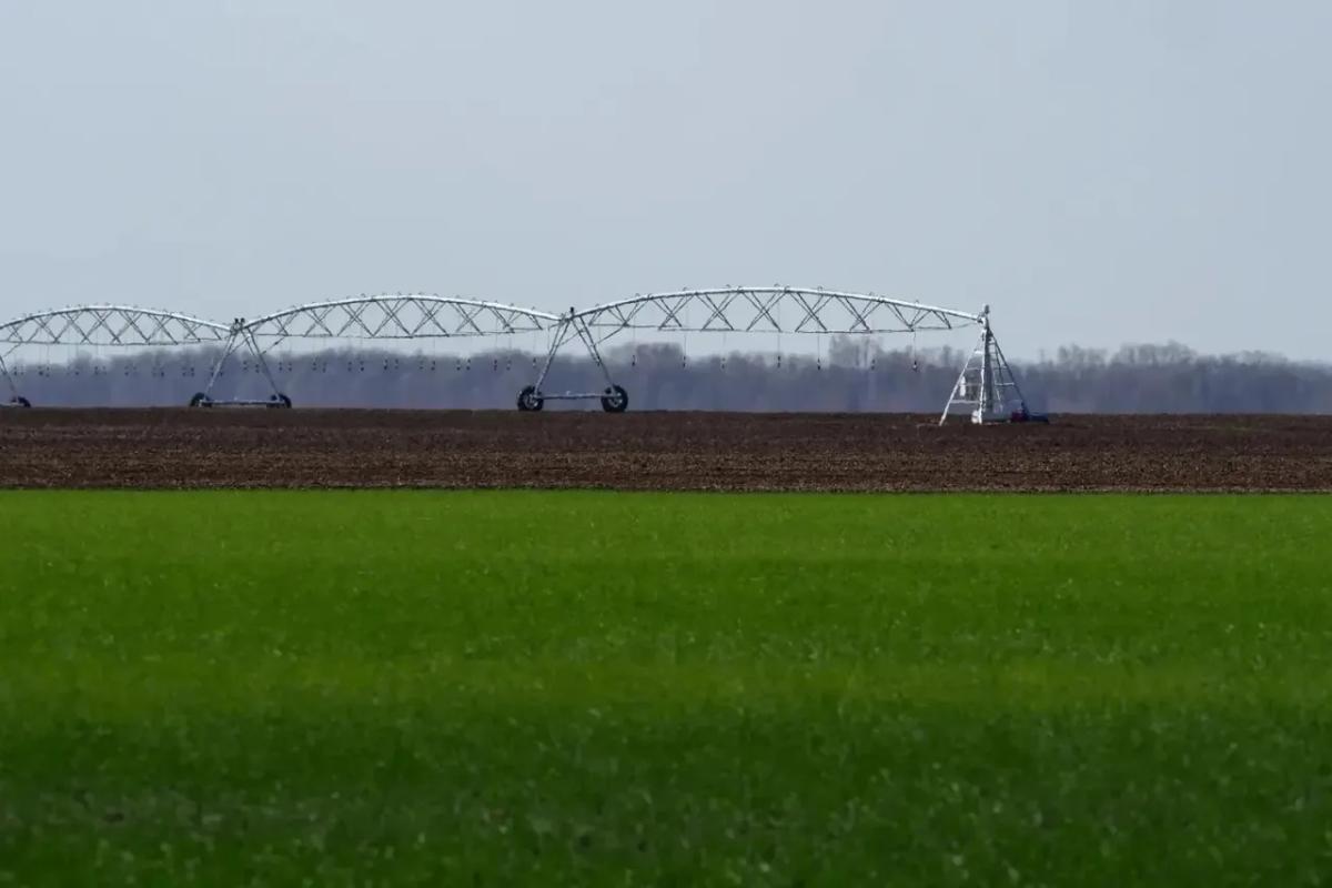 В 2026 году на Ставрополье построят системы для орошения более 6 тысяч га