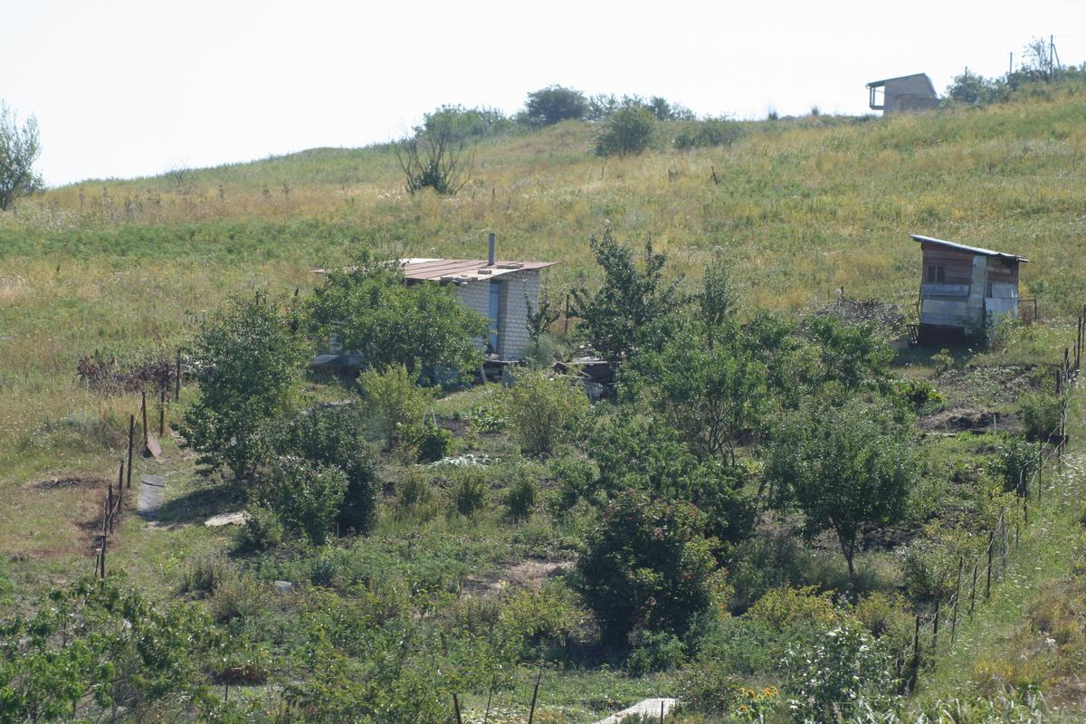 Росреестром разработаны законопроекты, направленные на повышение эффективности государственного и муниципального земельного надзора