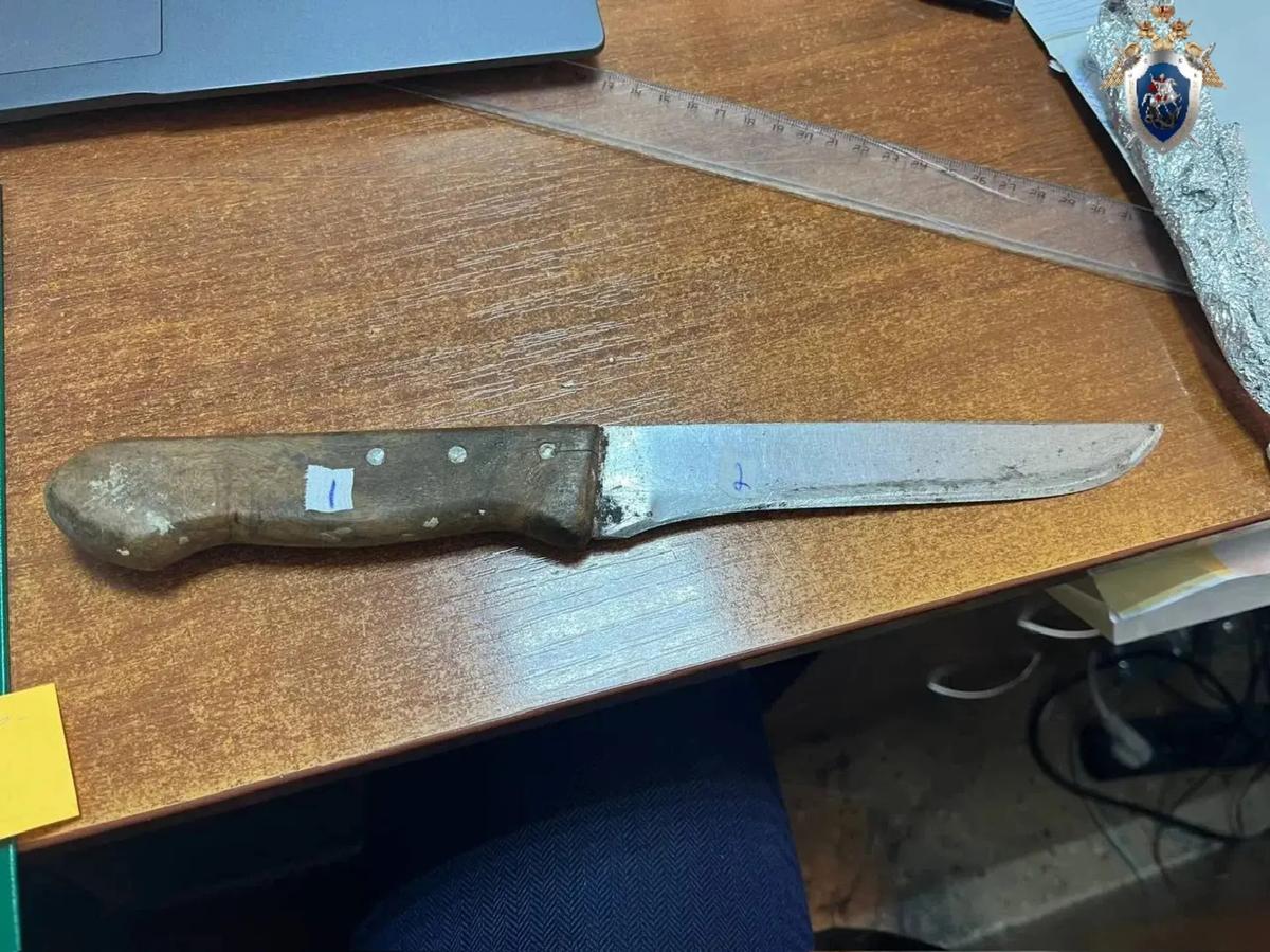 В Нефтекумском округе мужчину осудили за покушение на убийство своего соседа