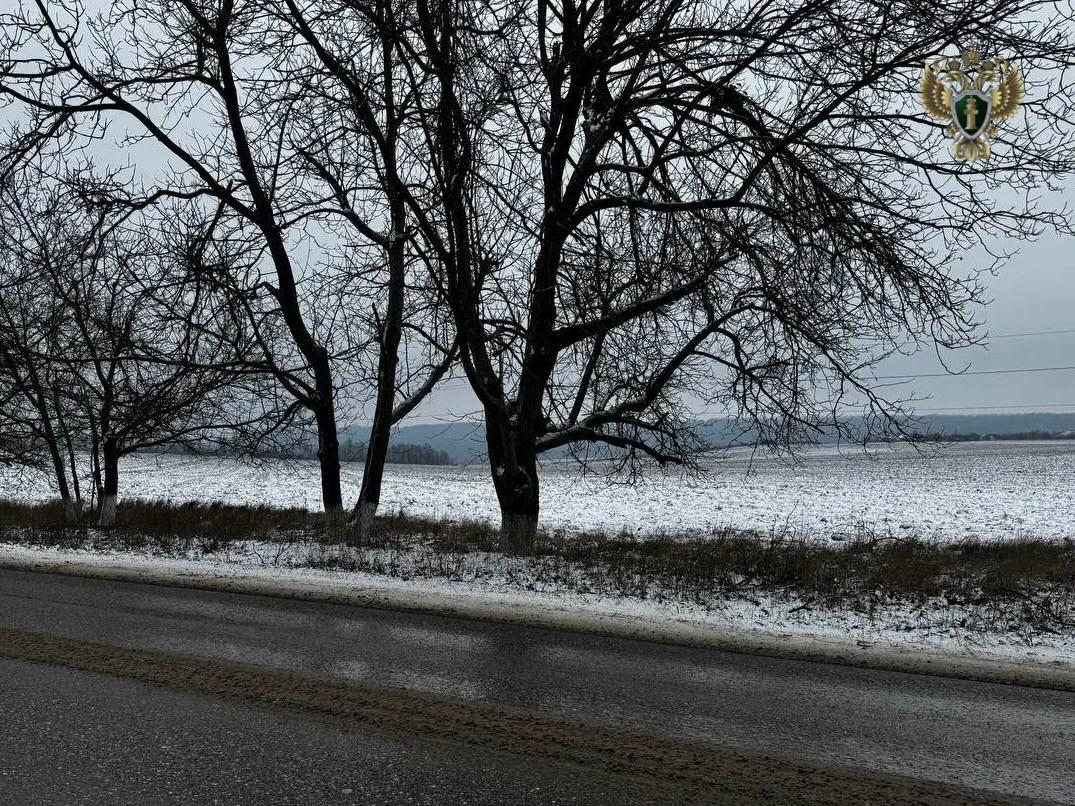 Землю придется вернуть, а за земельный передел отвечать жителю Ставрополья