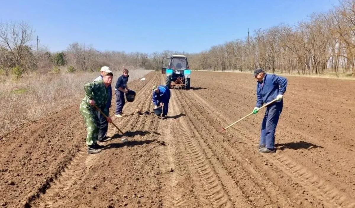 На развитие ставропольских питомников было выделено 5,7 млн