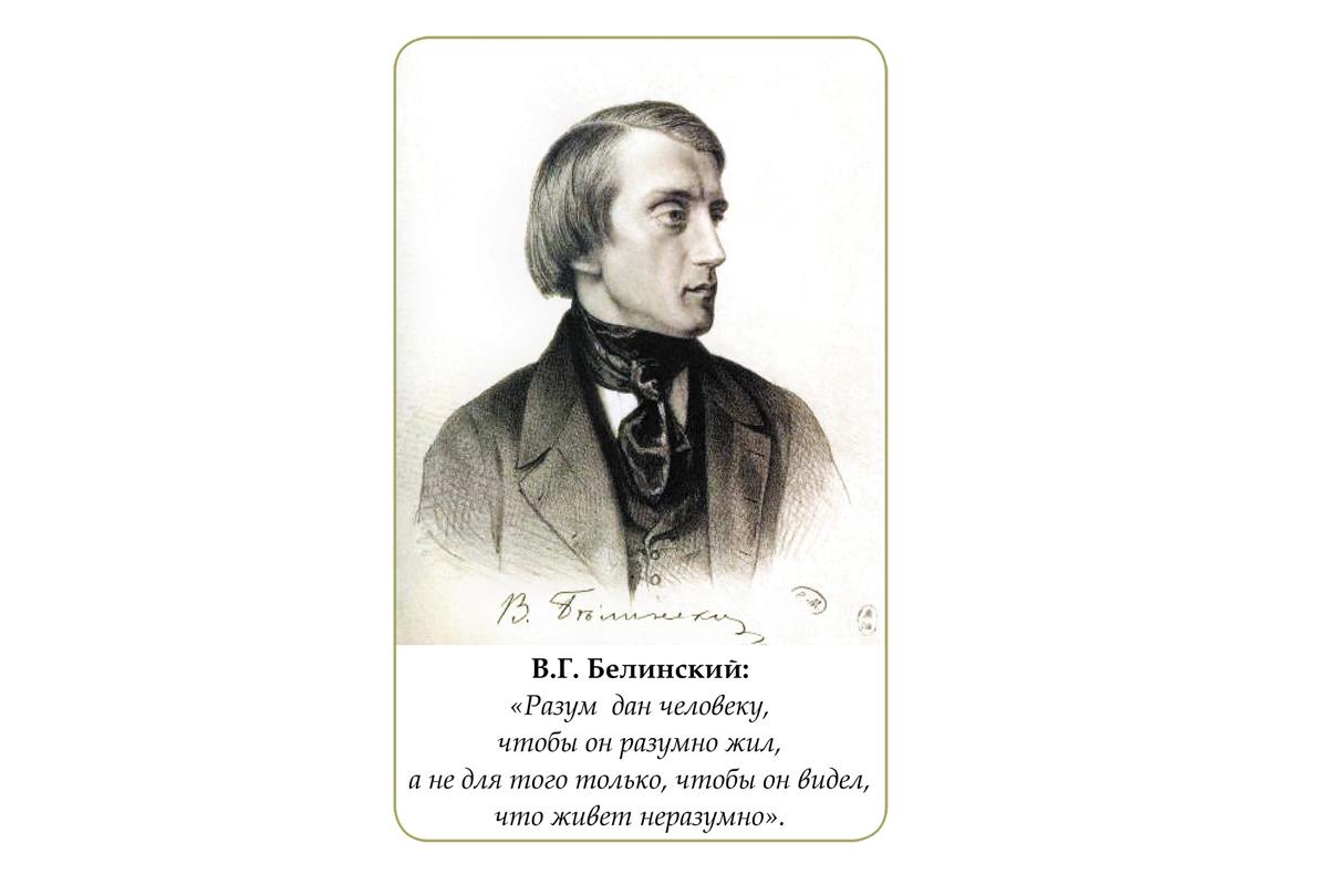 Сложенные крылья