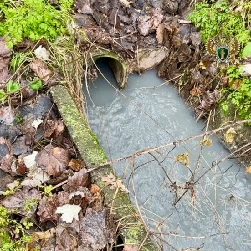 В Курском округе допустили сброс неочищенных сточных вод в реку Кума