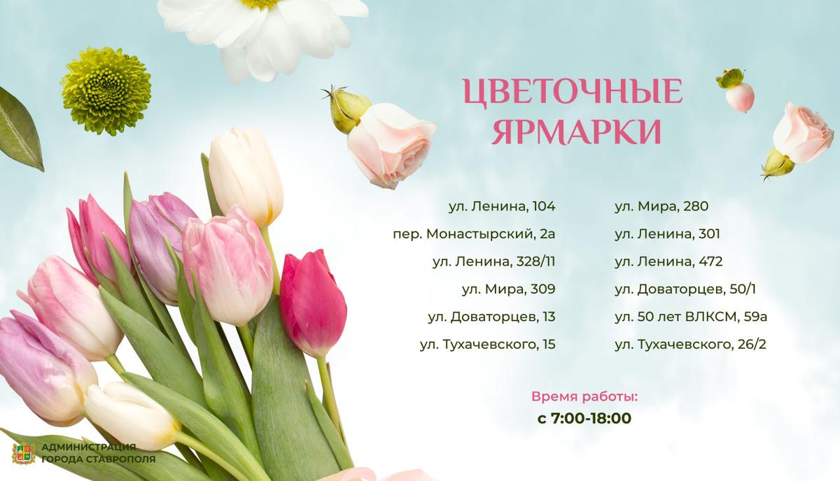 В третий день весны в Ставрополе по двенадцати адресам откроют цветочные базары